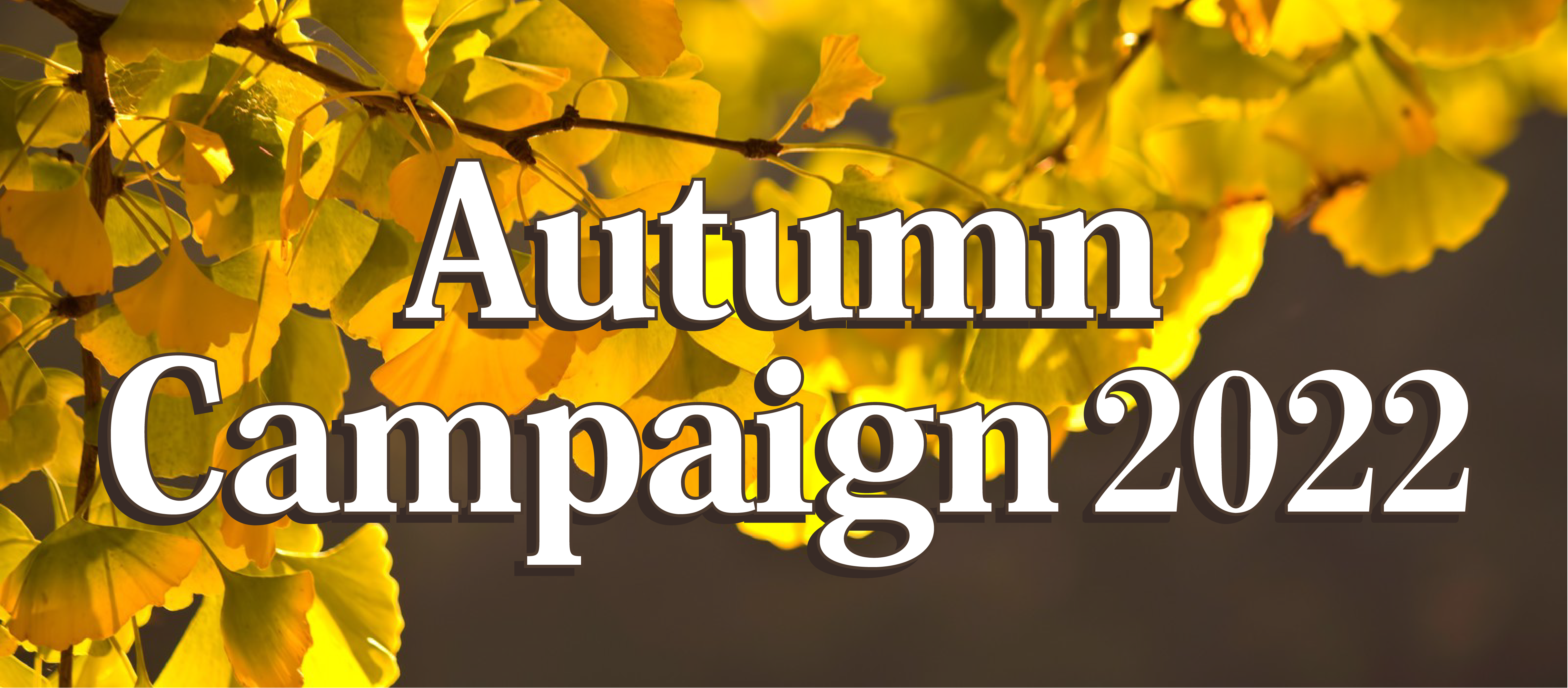 2022Autumn Campaign