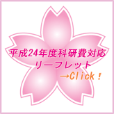 RCスペシャルキャンペーン